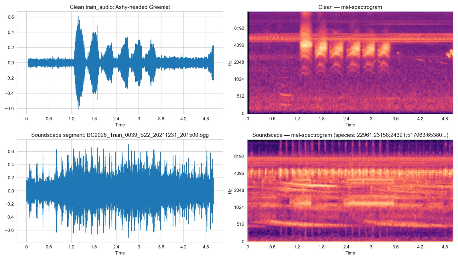 Waveform and mel-spectrogram of a clean training clip of an Ashy-headed Greenlet, above a noisy field soundscape where several species overlap.